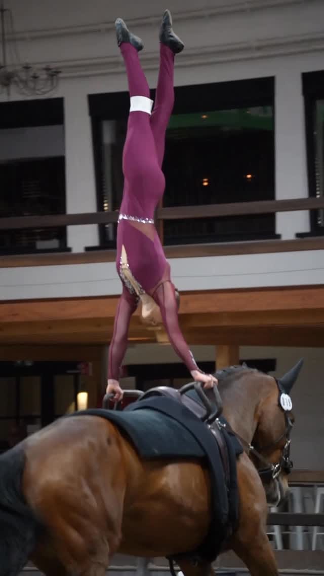 Post 6 by Vaulting World on Instagram (video)