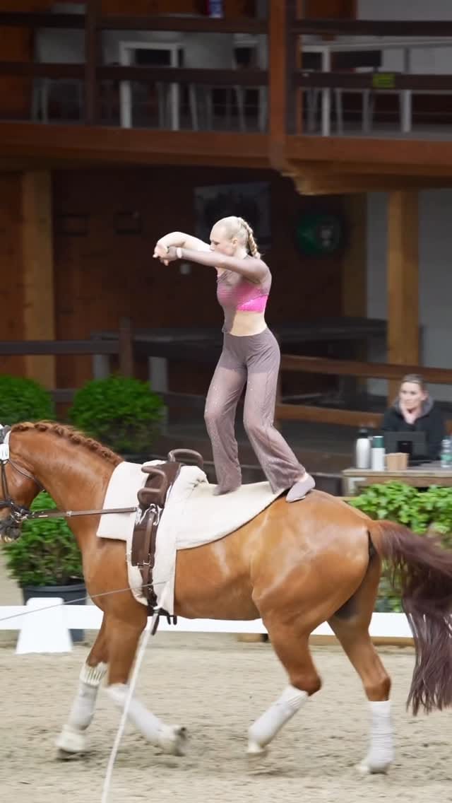 Post 3 by Vaulting World on Instagram (video)