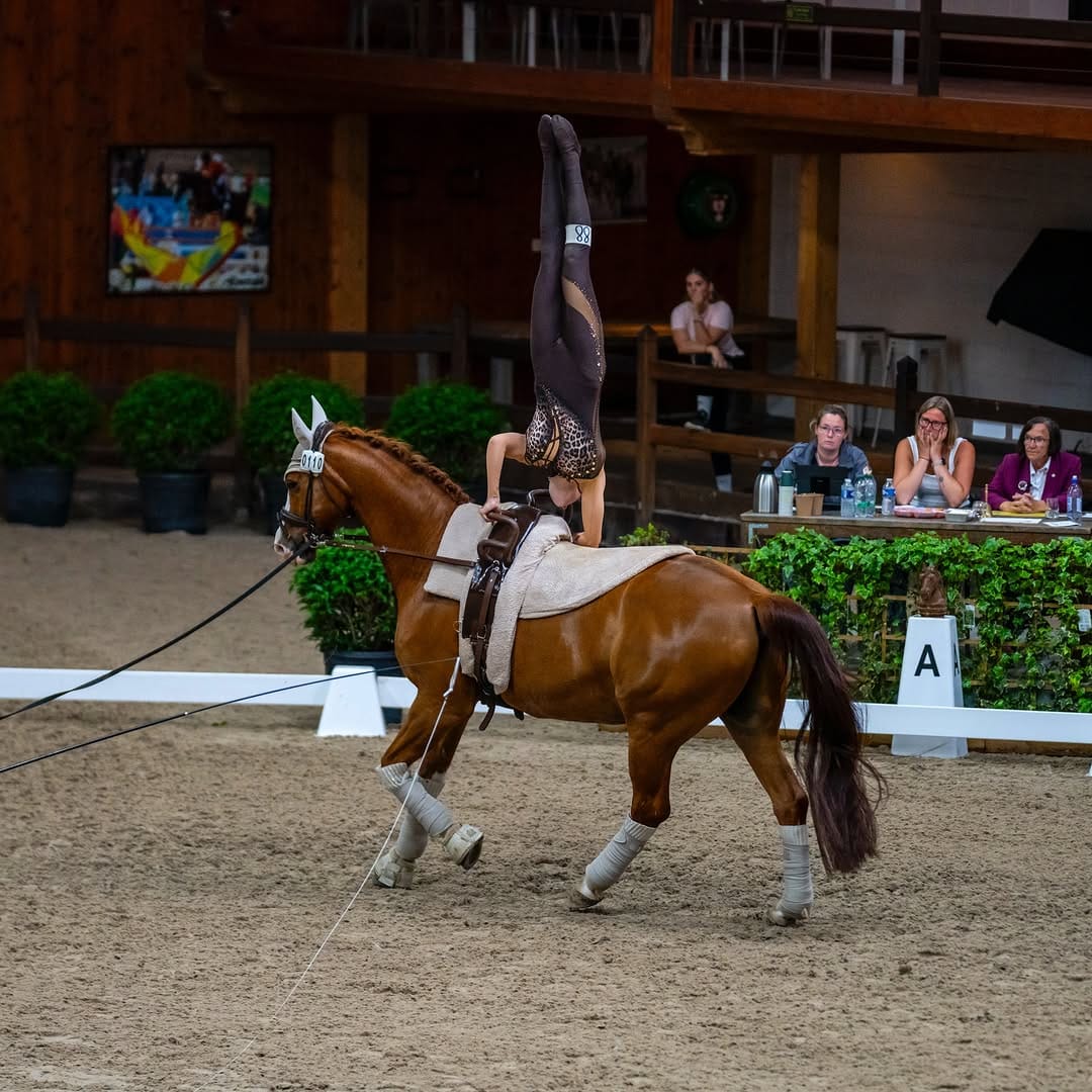 Post 1 by Vaulting World on Instagram (image)
