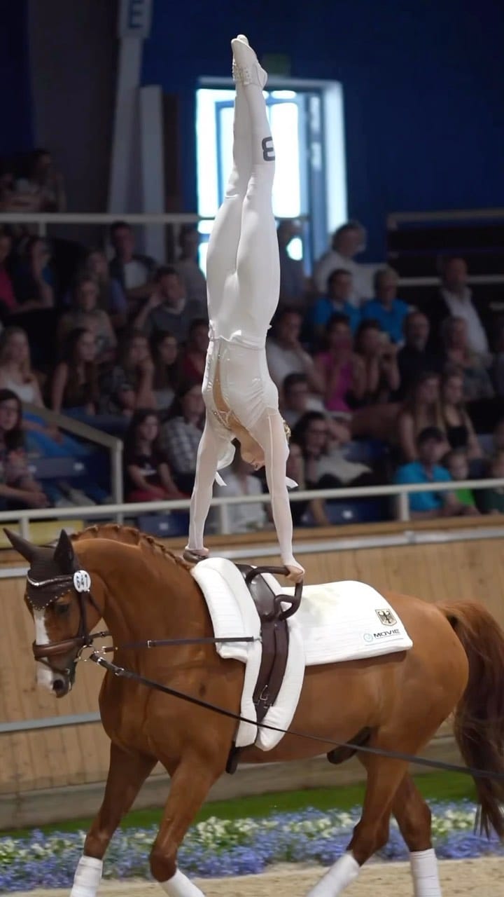 Post 10 by Vaulting World on Instagram (video)