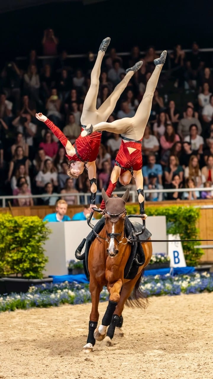 Post 8 by Vaulting World on Instagram (video)
