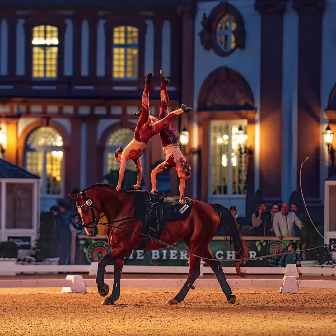 Post 2 by Vaulting World on Instagram (carousel)