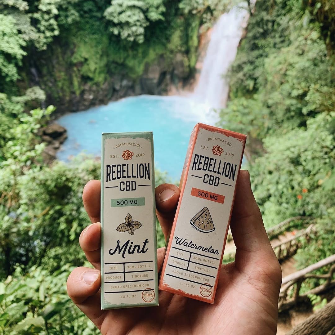 Post 7 by REBELLION CBD Co.™️ on Instagram (image)