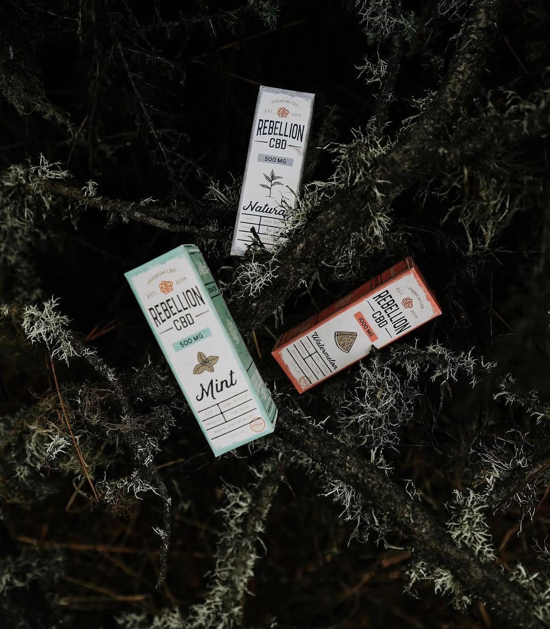 Post 4 by REBELLION CBD Co.™️ on Instagram (image)