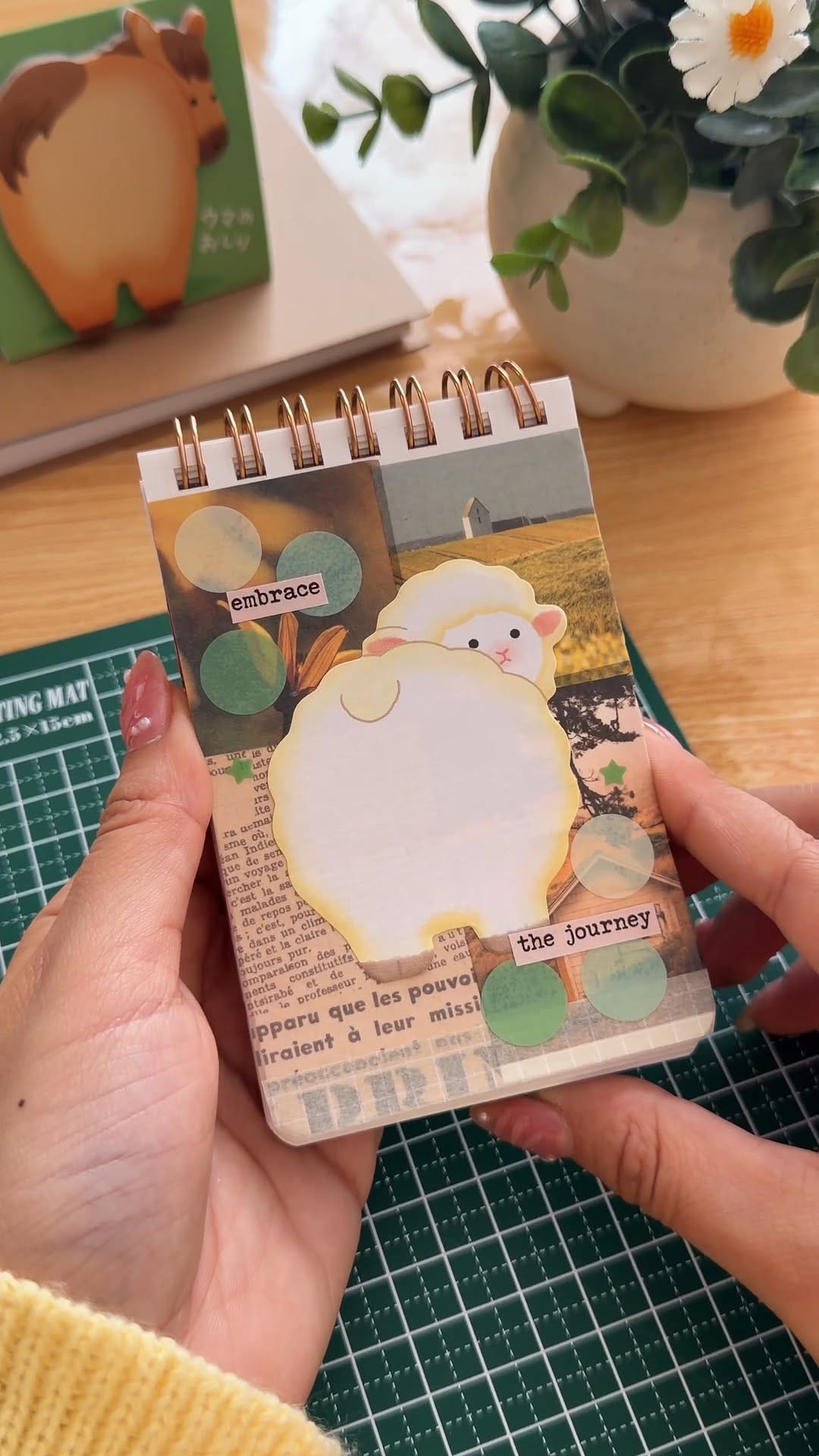 Post 3 by ZenPop Japan on Instagram (video)