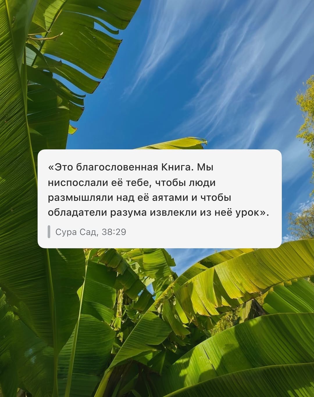 Post 6 by Sajda App on Instagram (image)