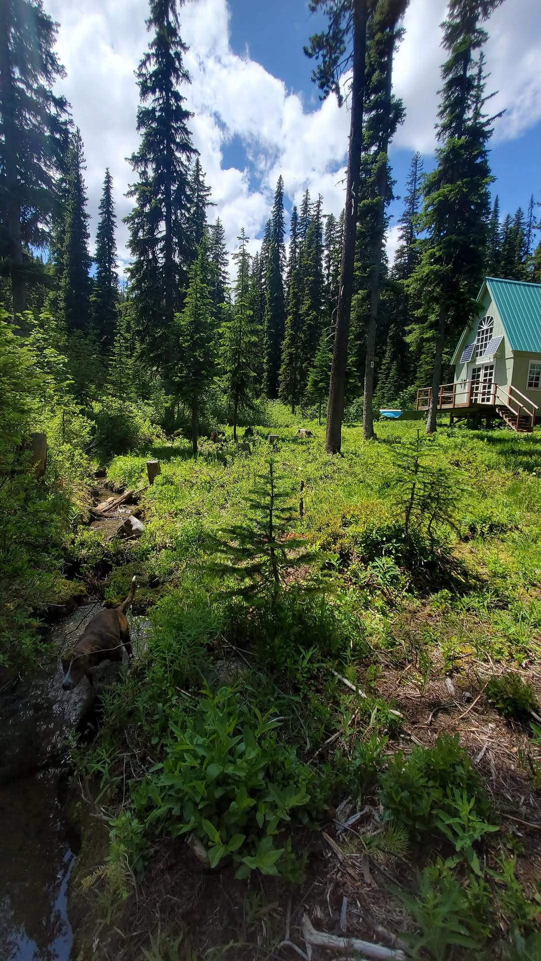Post 8 by Alpine Lakes High Camp on Instagram (video)