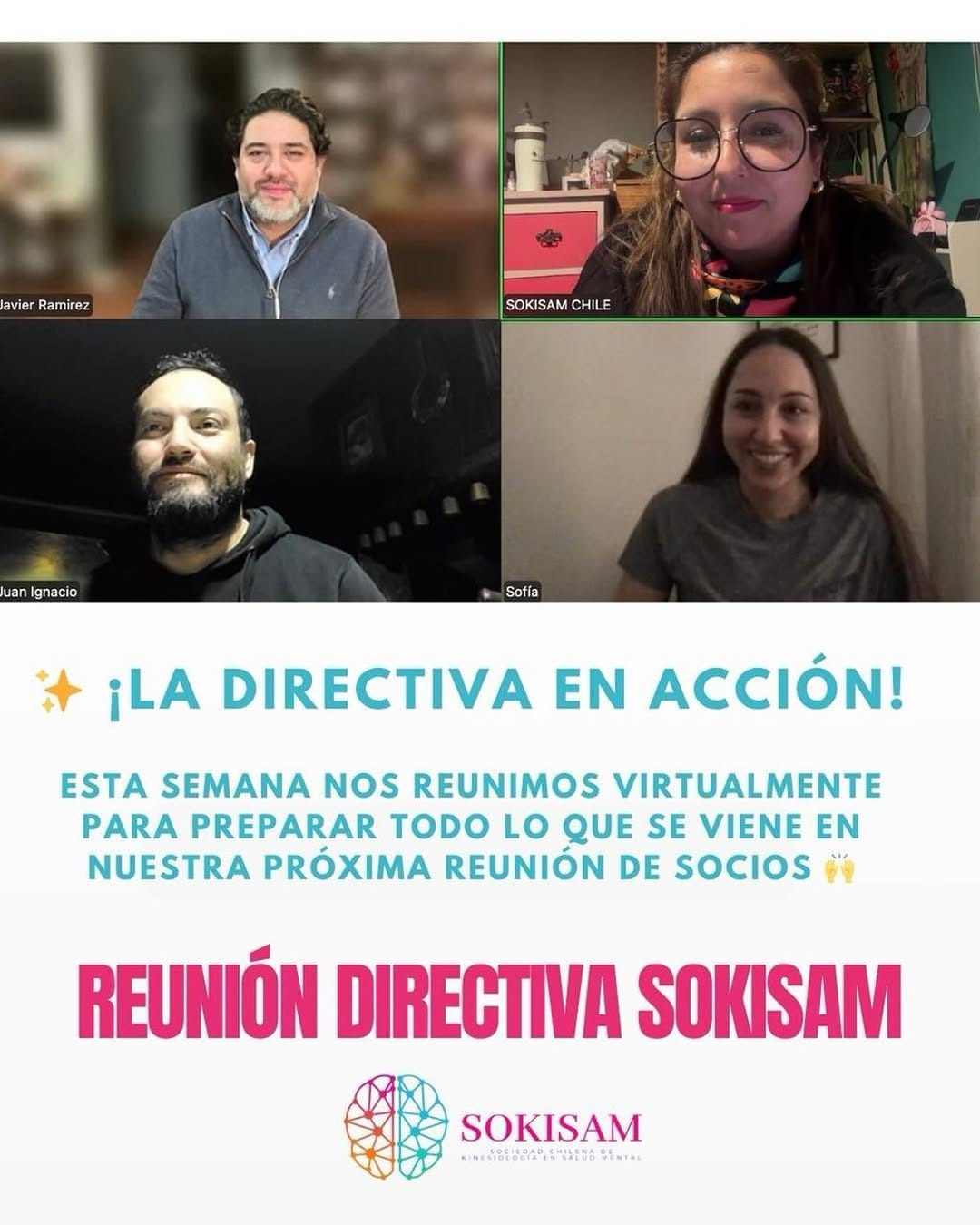 Post 1 by Soc. Científica de Kinesiología en Salud Mental 🇨🇱 on Instagram (image)