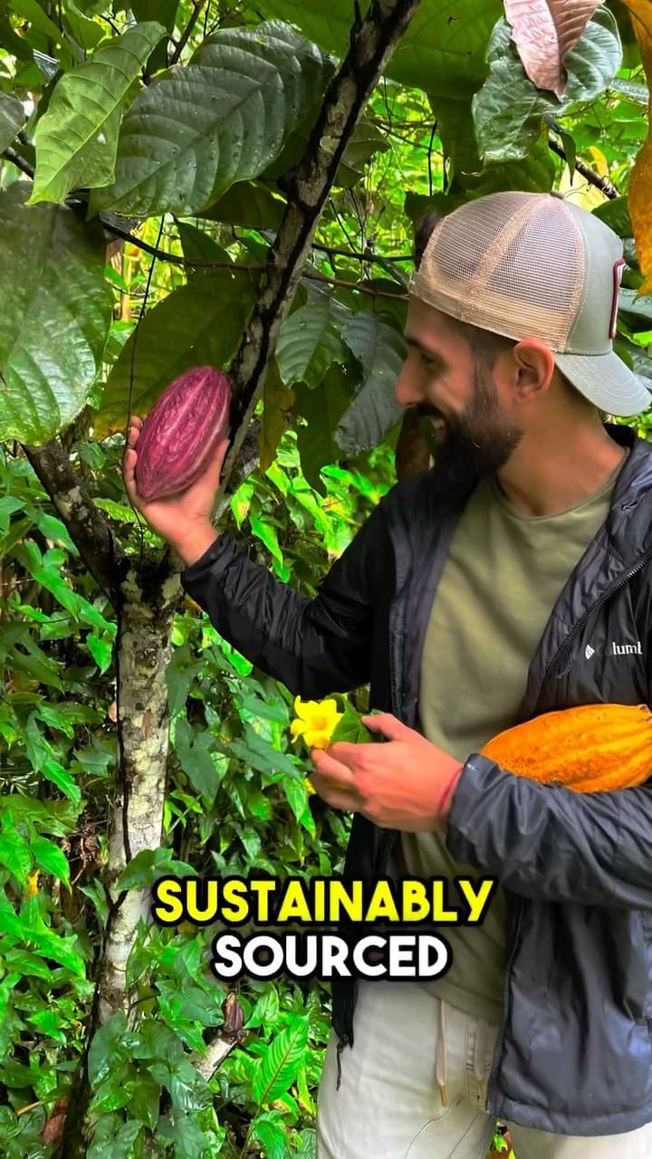 Post 8 by 𝘾𝙖𝙘𝙖𝙤 𝙎𝙤𝙡  |  Ceremonial Cacao on Instagram (video)