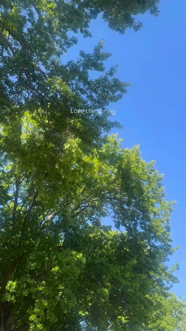 Post 3 by Cheryl's Herbs on Instagram (video)