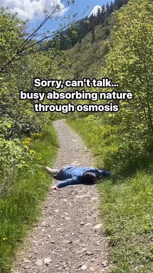 Post 4 by Cheryl's Herbs on Instagram (video)