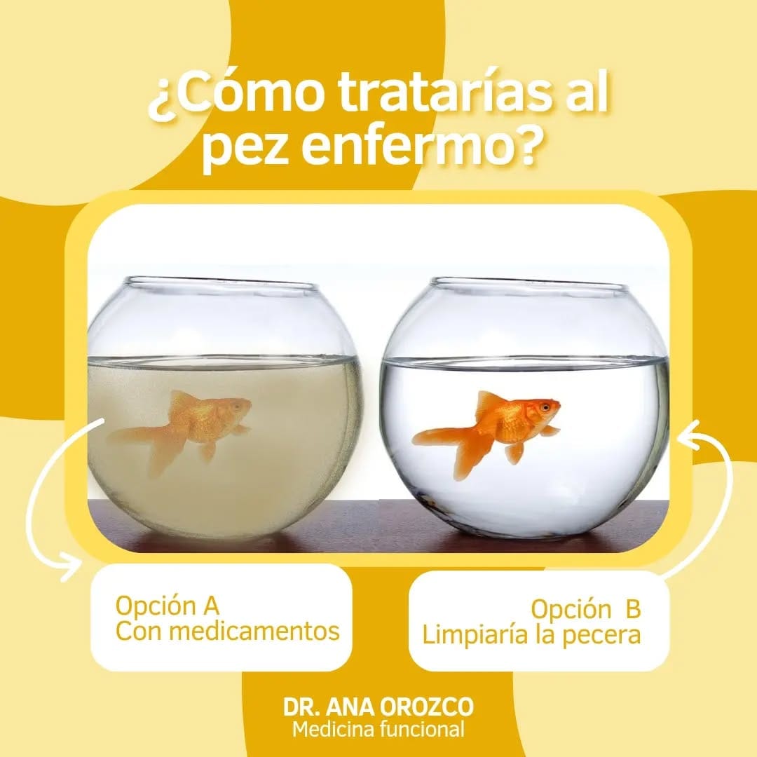 Post 9 by Dr. Ana Orozco on Instagram (image)