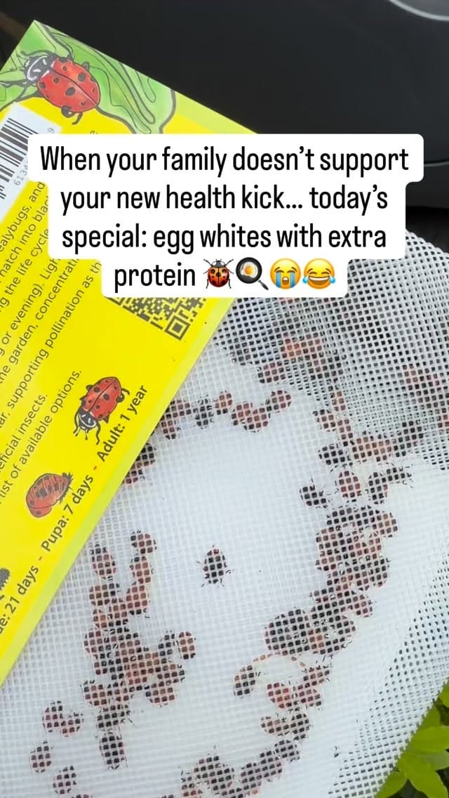 Post 2 by Kirstie Cunningham, MD, The Menopause Specialist on Instagram (video)