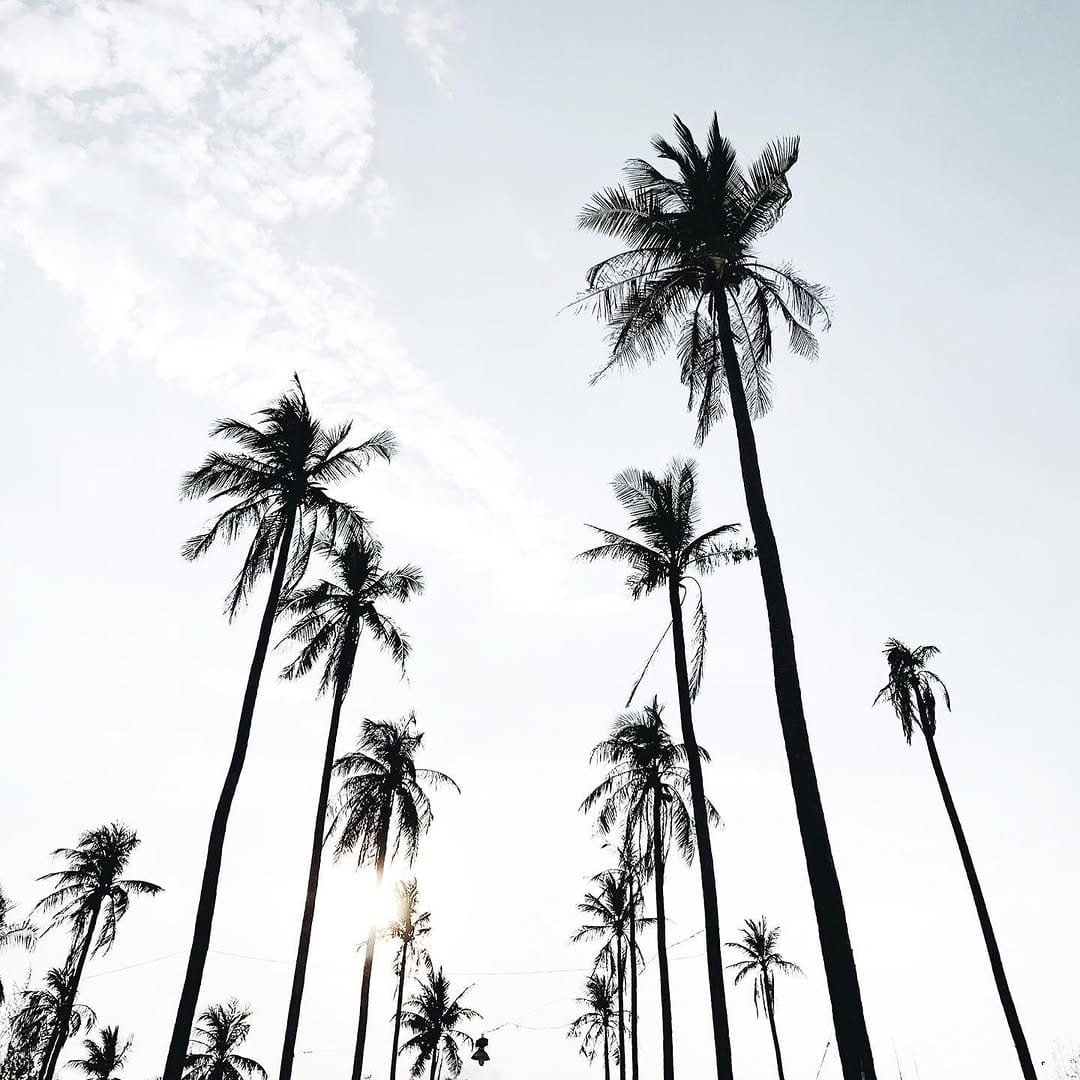 Post 10 by Research-Driven Web Design • Creative Brand Growth on Instagram (image)