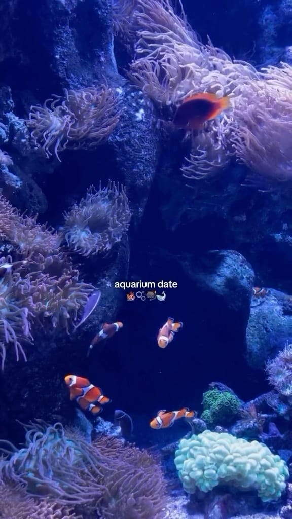 Post 10 by Los Angeles, California on Instagram (video)