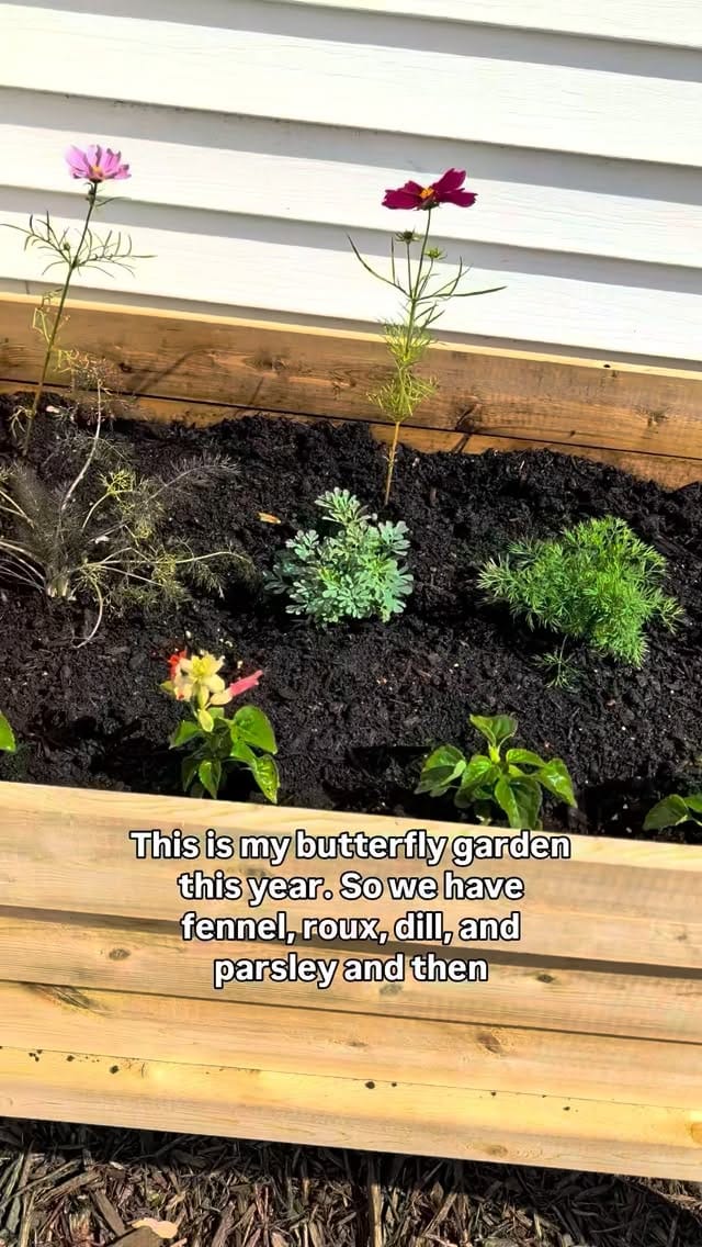 Post 8 by Michaela Harter on Instagram (video)