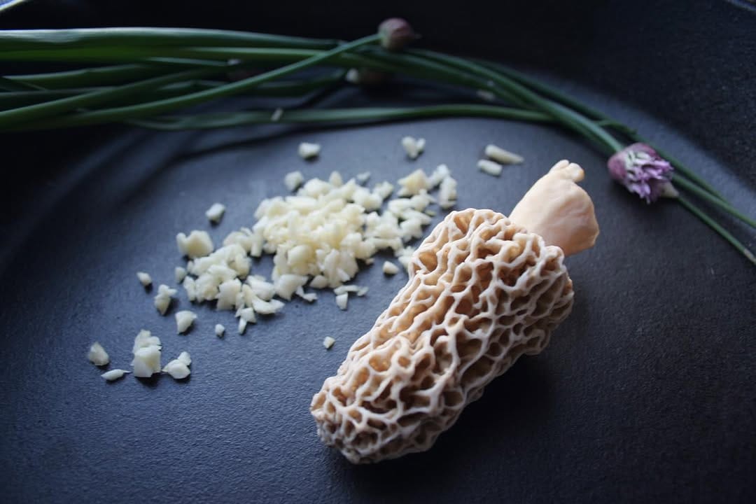 Post 6 by The Mushroom Forager, LLC on Instagram (image)