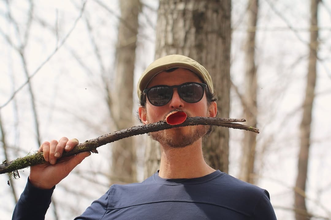Post 3 by The Mushroom Forager, LLC on Instagram (image)