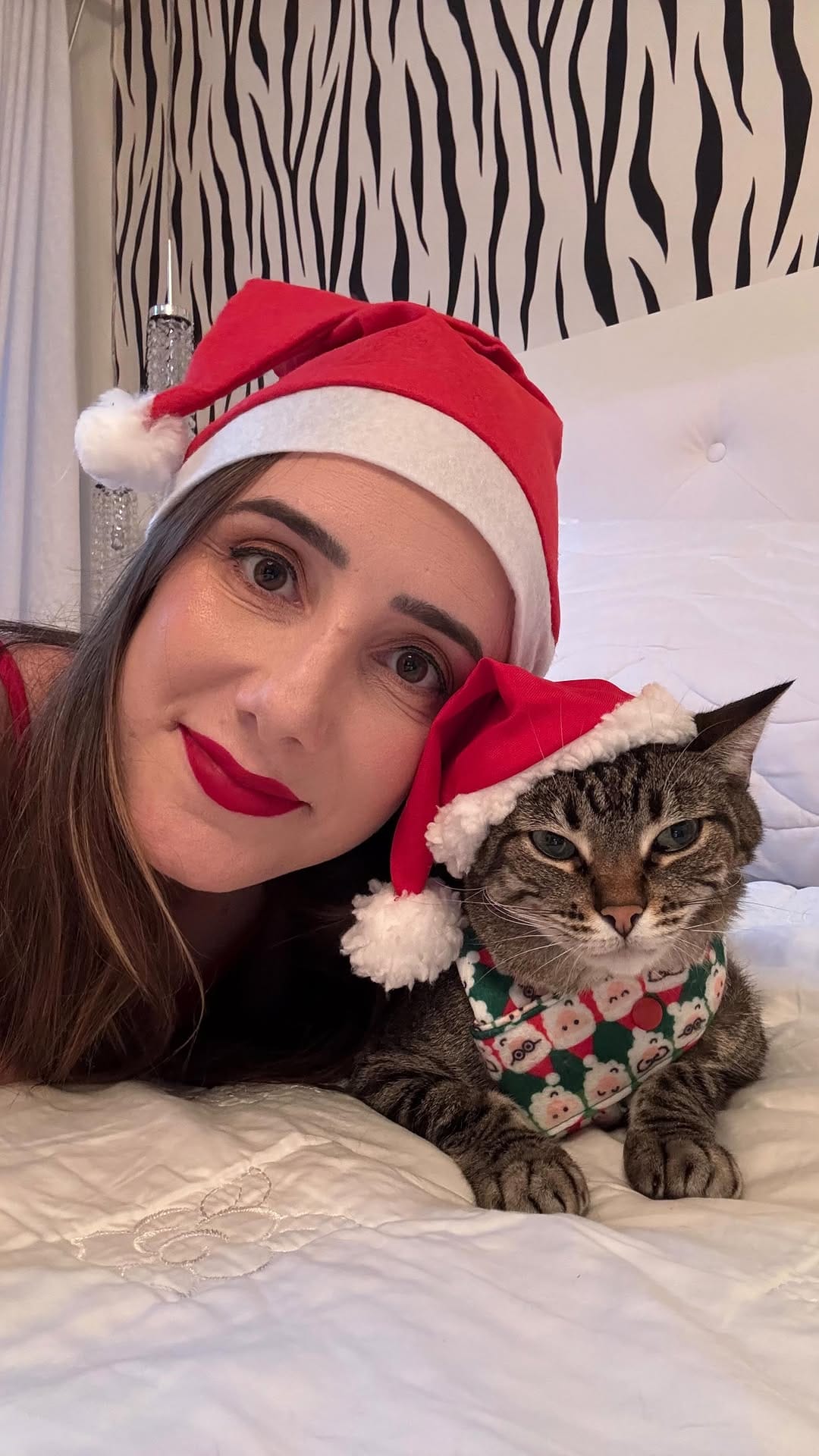 Post 4 by Mais Gato Do Que Nunca on Instagram (video)