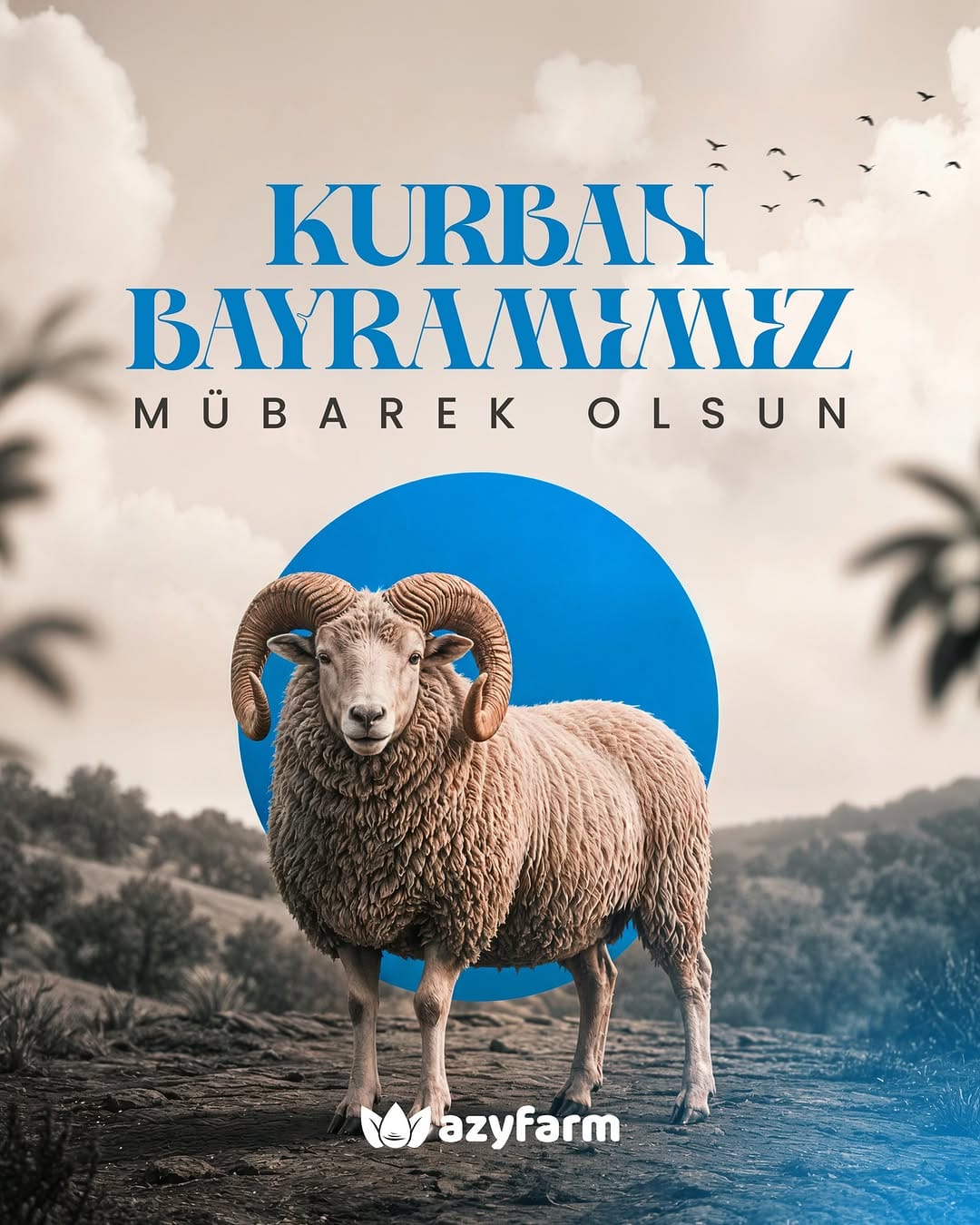 Post 1 by AZYFarm Tarımsal Sulama Sistemleri on Instagram (image)