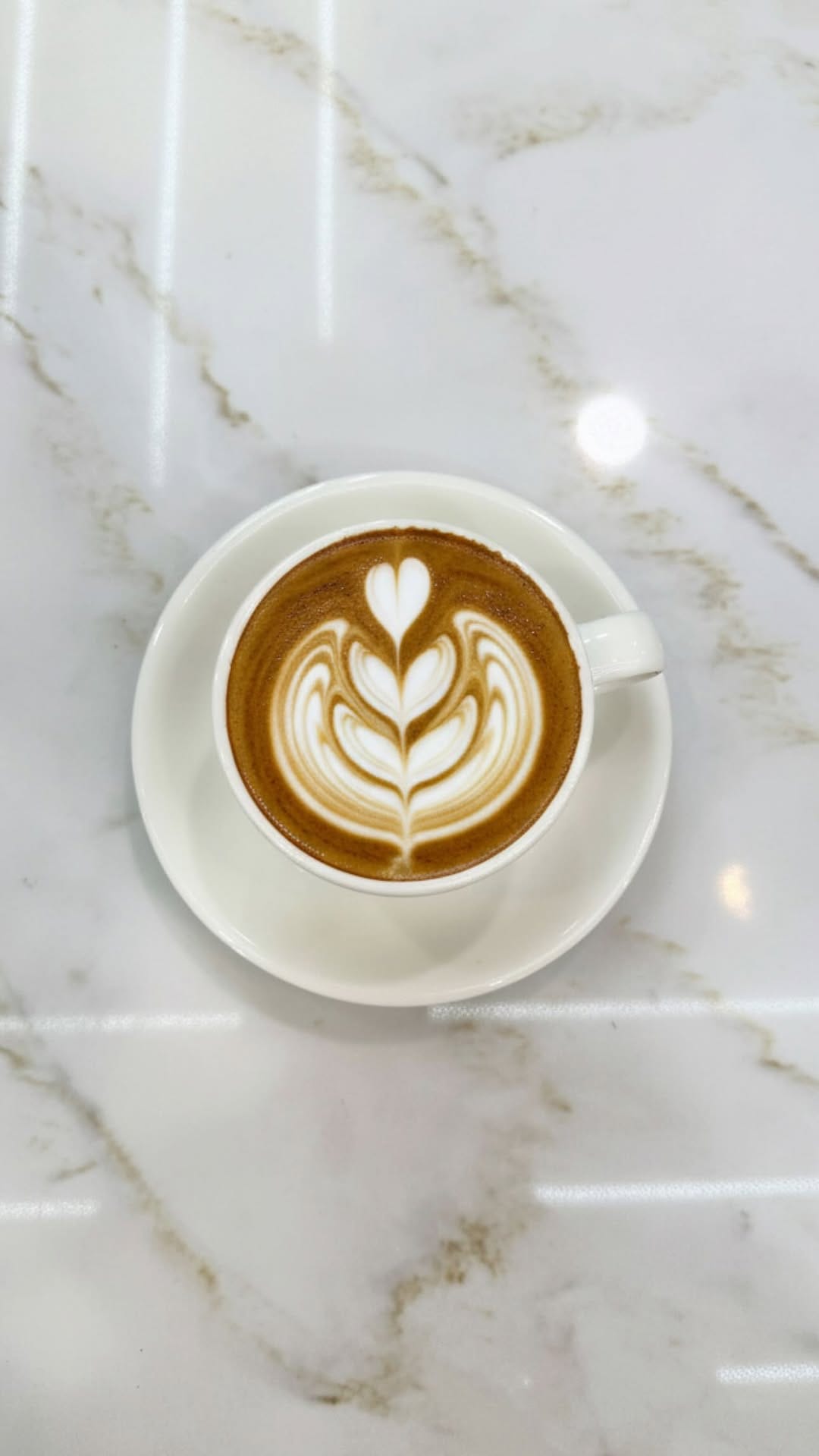 Post 9 by Mocha Melt Cafe on Instagram (video)
