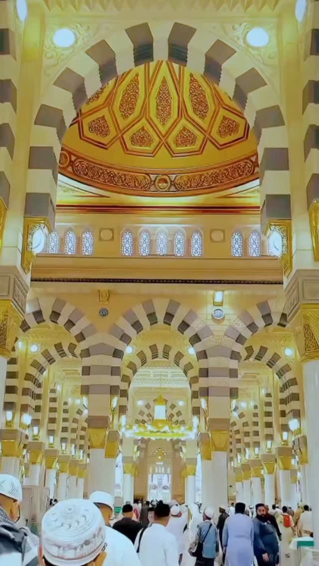 Post 7 by Firooz Qureshi1 on Instagram (video)