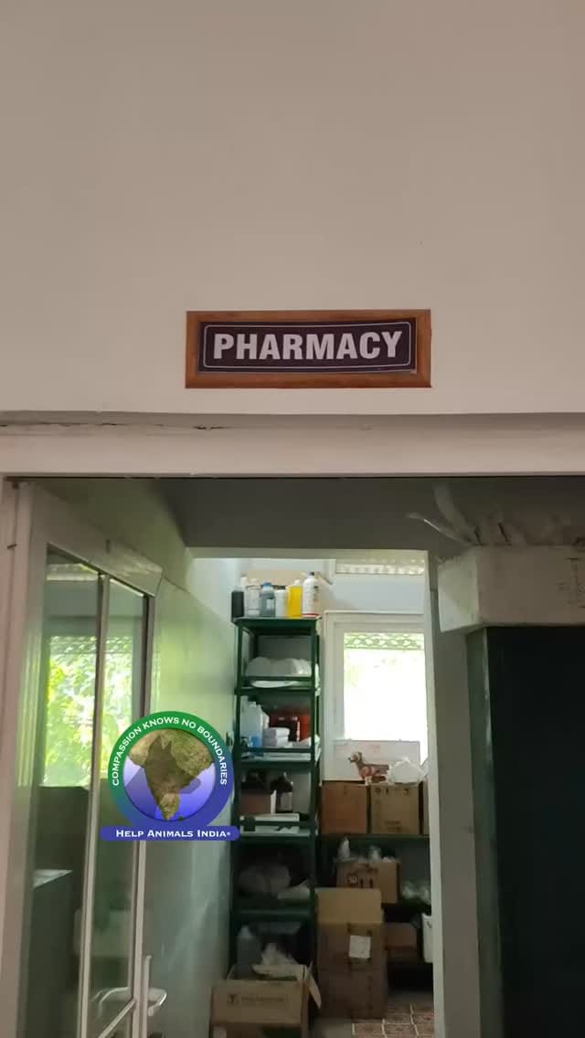 Post 7 by Help Animals India on Instagram (video)