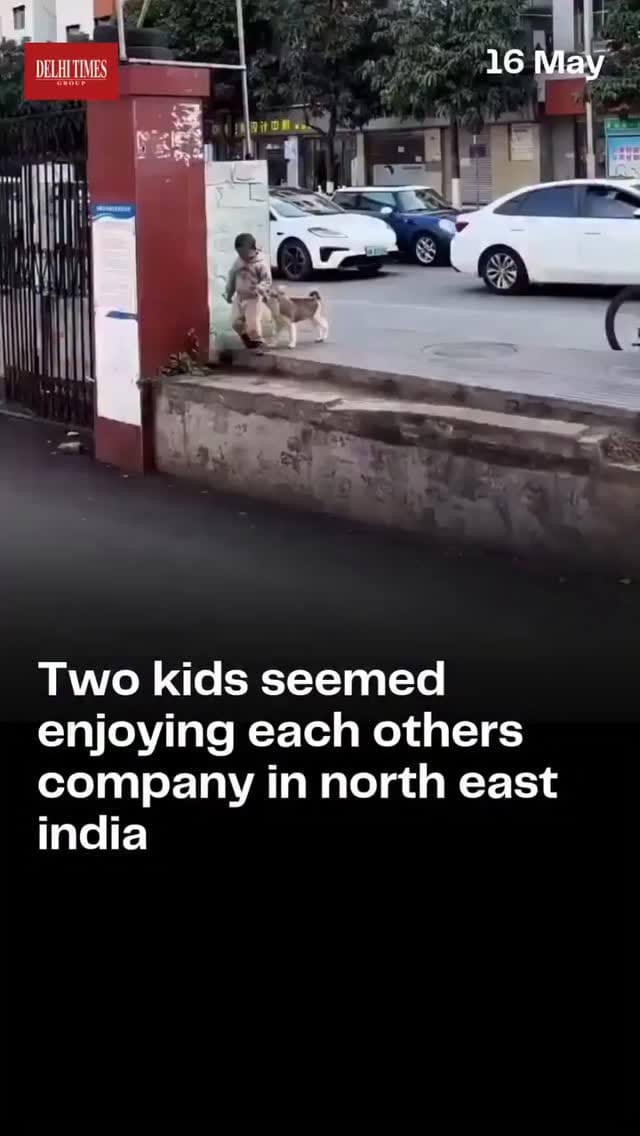 Post 2 by Help Animals India on Instagram (video)