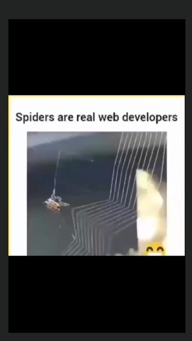 Post 3 by Bello Habeeb •| web developer •| javascript •| css • 100k🎯 on Instagram (video)