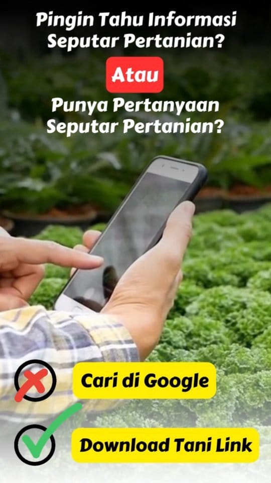 Post 8 by tanilink.apps on Instagram (video)