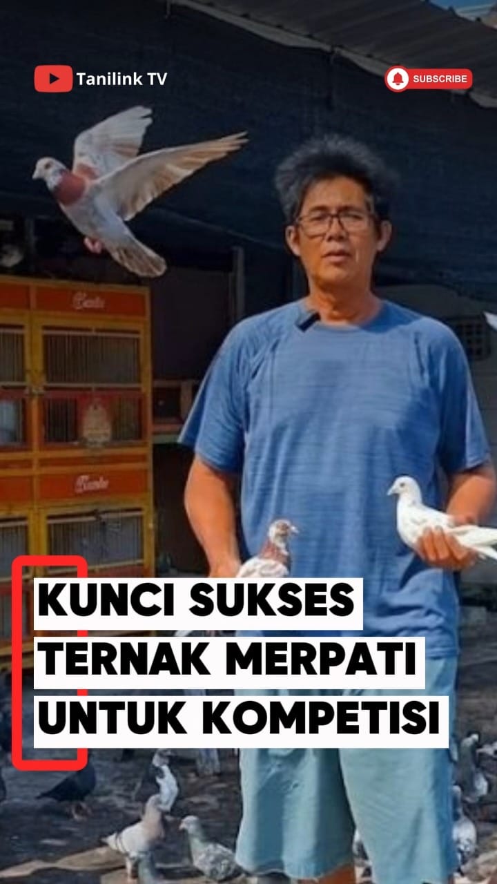 Post 6 by tanilink.apps on Instagram (video)