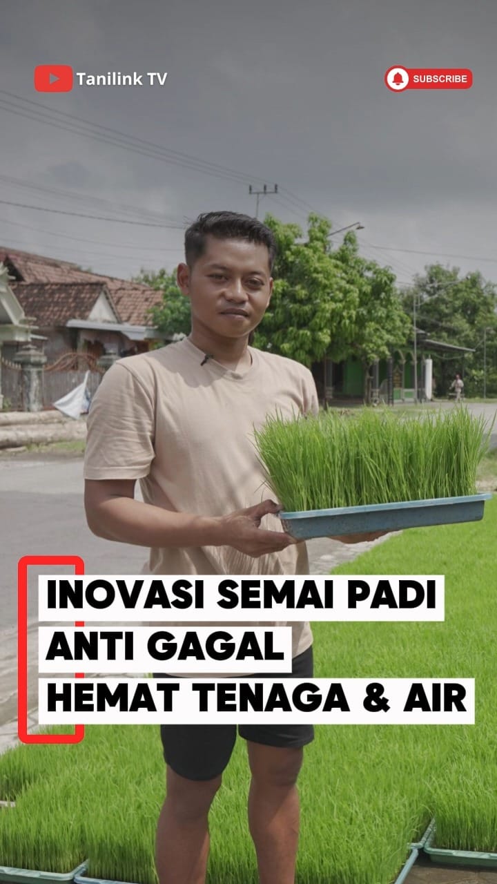 Post 3 by tanilink.apps on Instagram (video)
