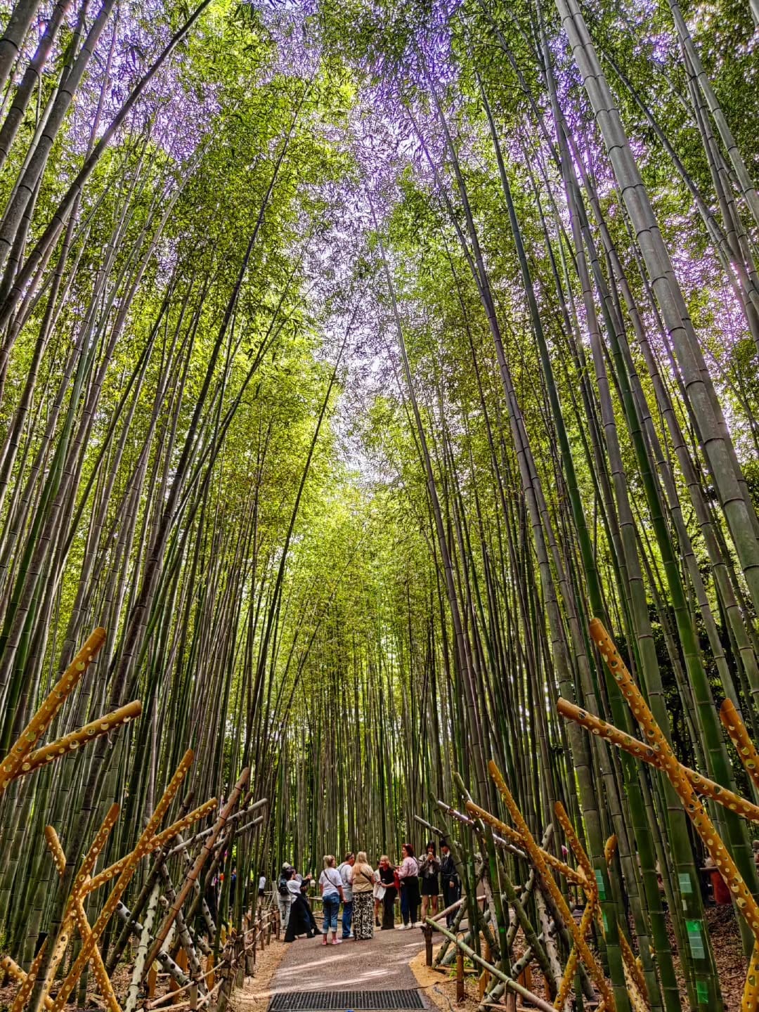 Post 6 by Luigi Tramontano on Instagram (image)
