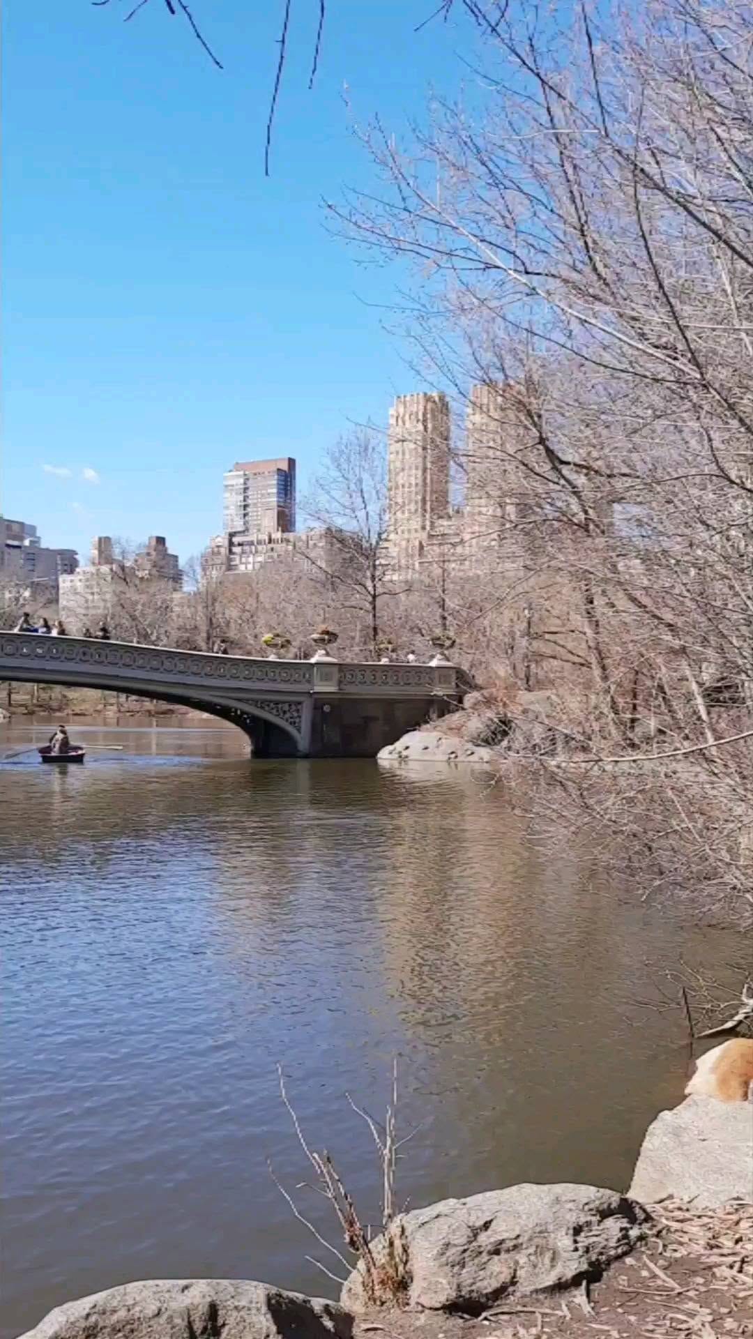 Post 5 by Come Unto Christ ~ NYC on Instagram (video)
