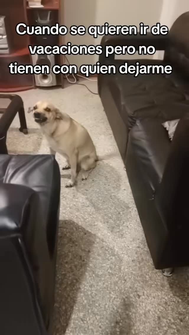 Post 9 by LuchinVG on Instagram (video)