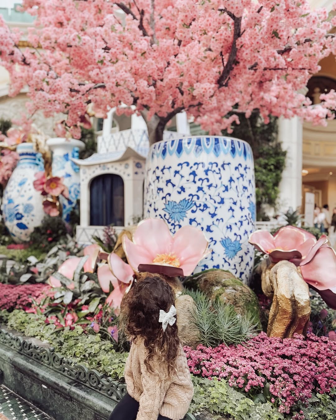Post 7 by Rosi and Baby Vee on Instagram (image)