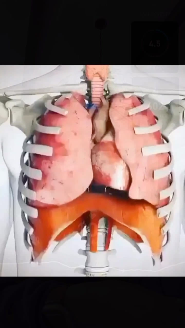 Post 1 by Hafiza Khan,MD |Cardiologist on Instagram (video)
