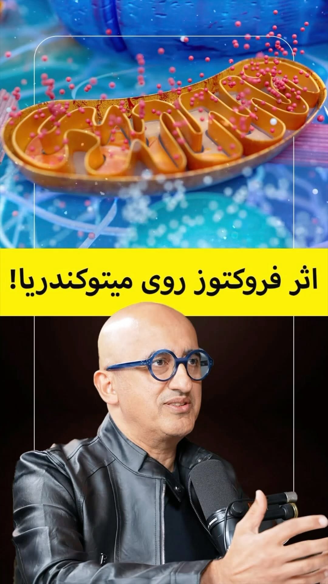 Post 8 by Ali Khazaeizadeh on Instagram (video)