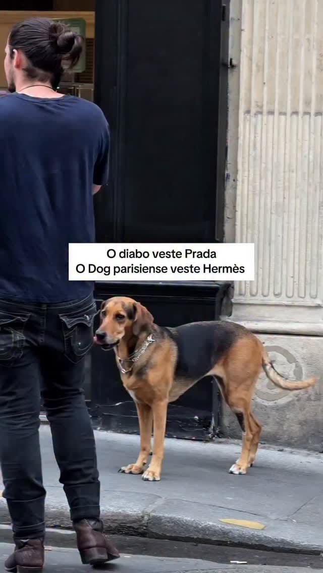Post 6 by Dona Karda - Second Hand on Instagram (video)