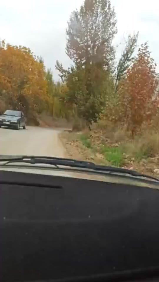 Post 4 by ~Behnam~ on Instagram (video)