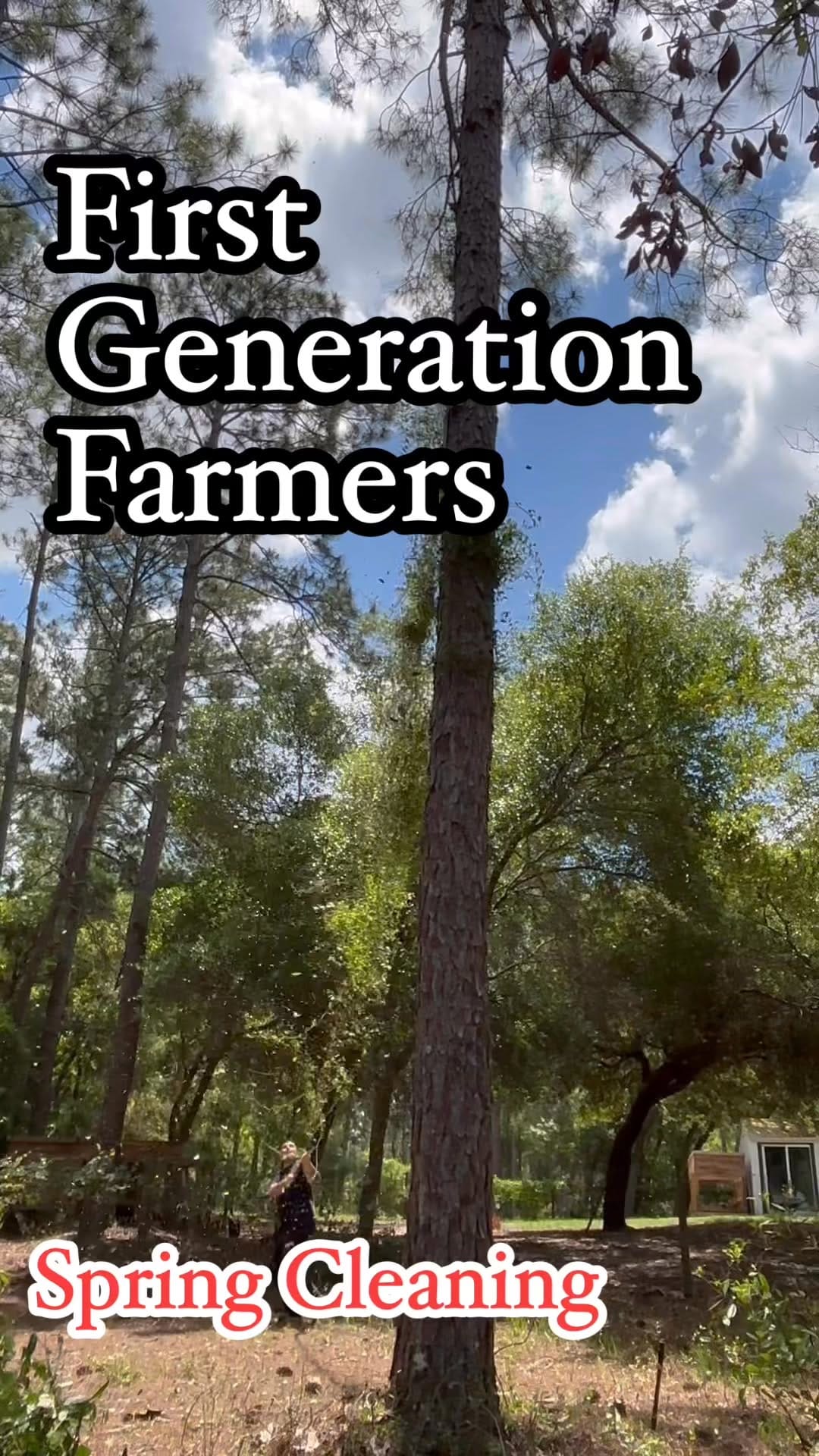 Post 2 by Foraging Florida Hikes on Instagram (video)