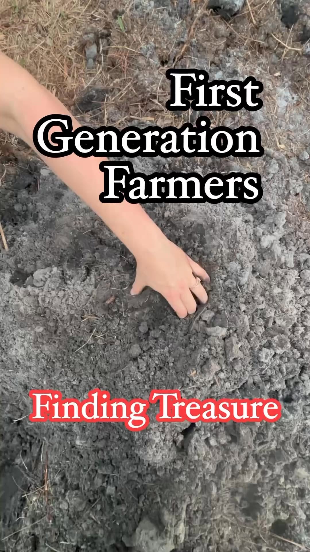 Post 5 by Foraging Florida Hikes on Instagram (video)