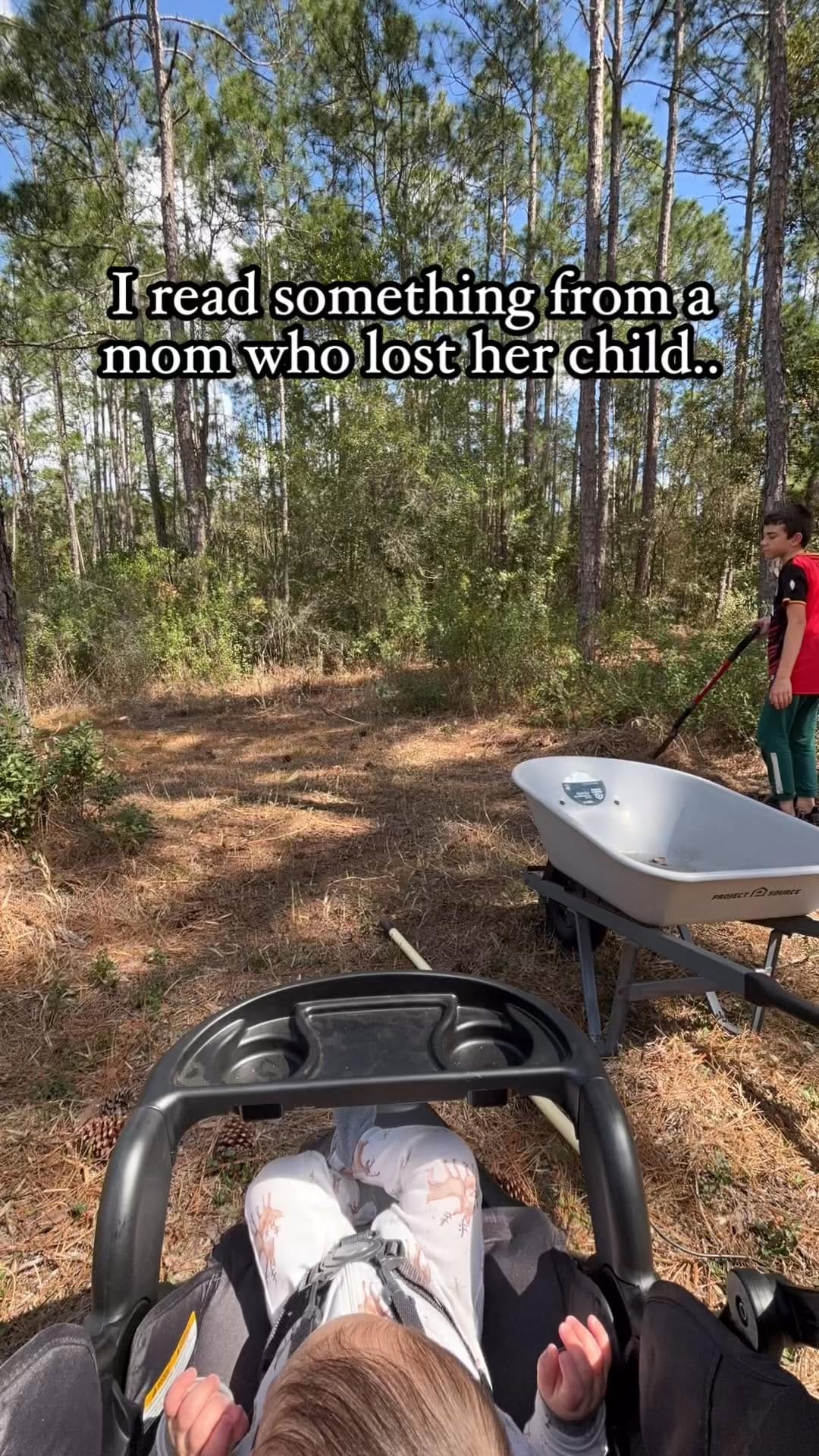 Post 8 by Foraging Florida Hikes on Instagram (video)