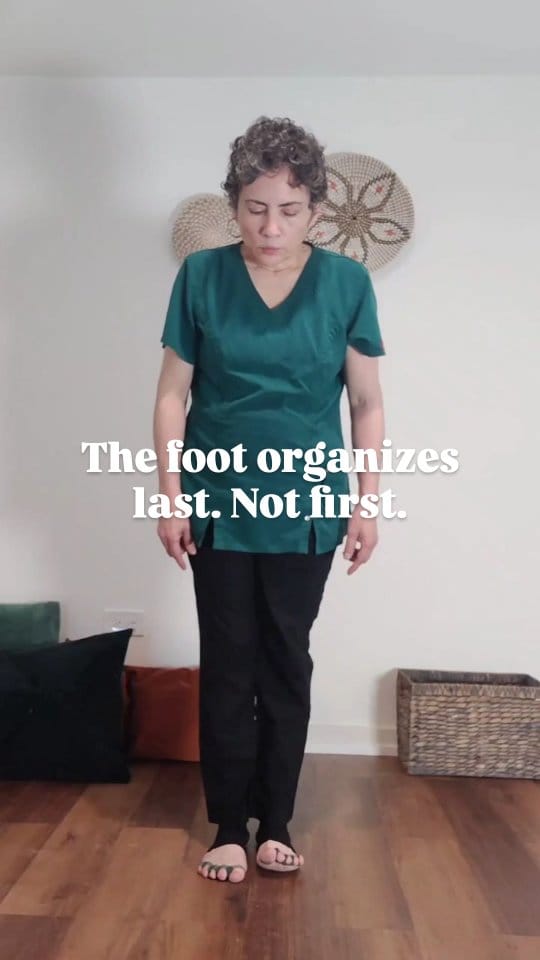 Post 5 by Mara Nicandro NMT Chicago on Instagram (video)