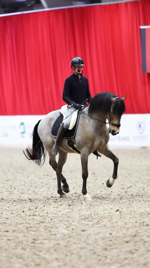 Post 1 by Nalanta Equestrian Equipment on Instagram (video)