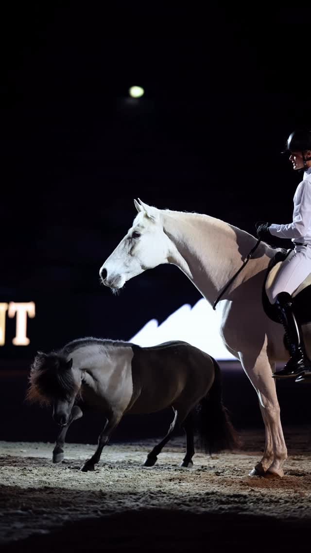 Post 3 by Nalanta Equestrian Equipment on Instagram (video)