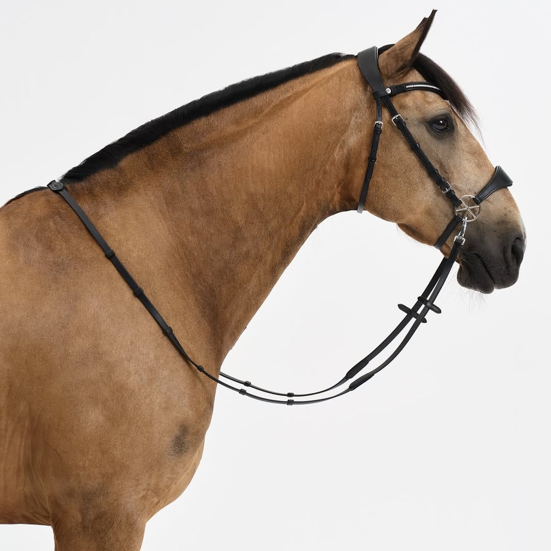 Post 5 by Nalanta Equestrian Equipment on Instagram (carousel)