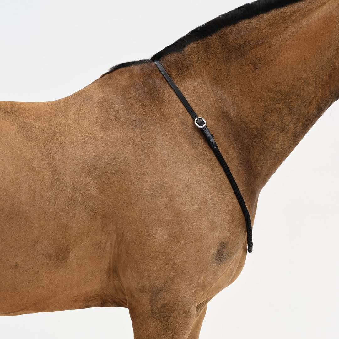 Post 6 by Nalanta Equestrian Equipment on Instagram (carousel)