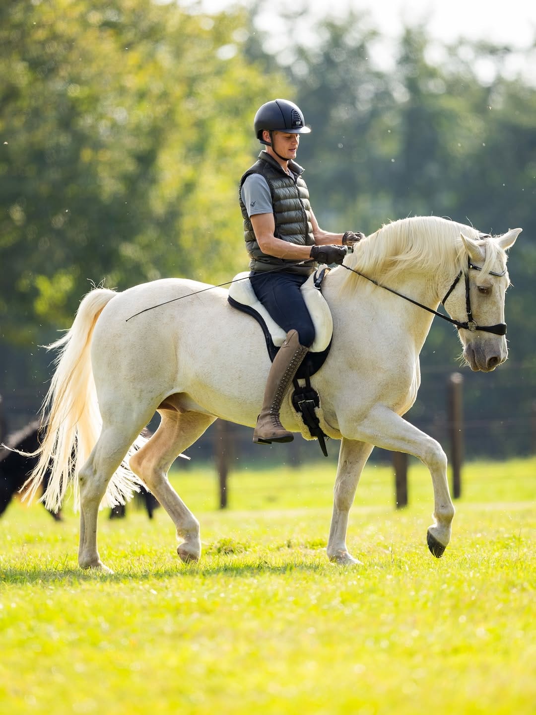 Post 4 by Nalanta Equestrian Equipment on Instagram (carousel)