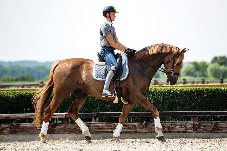 Post 9 by Nalanta Equestrian Equipment on Instagram (carousel)